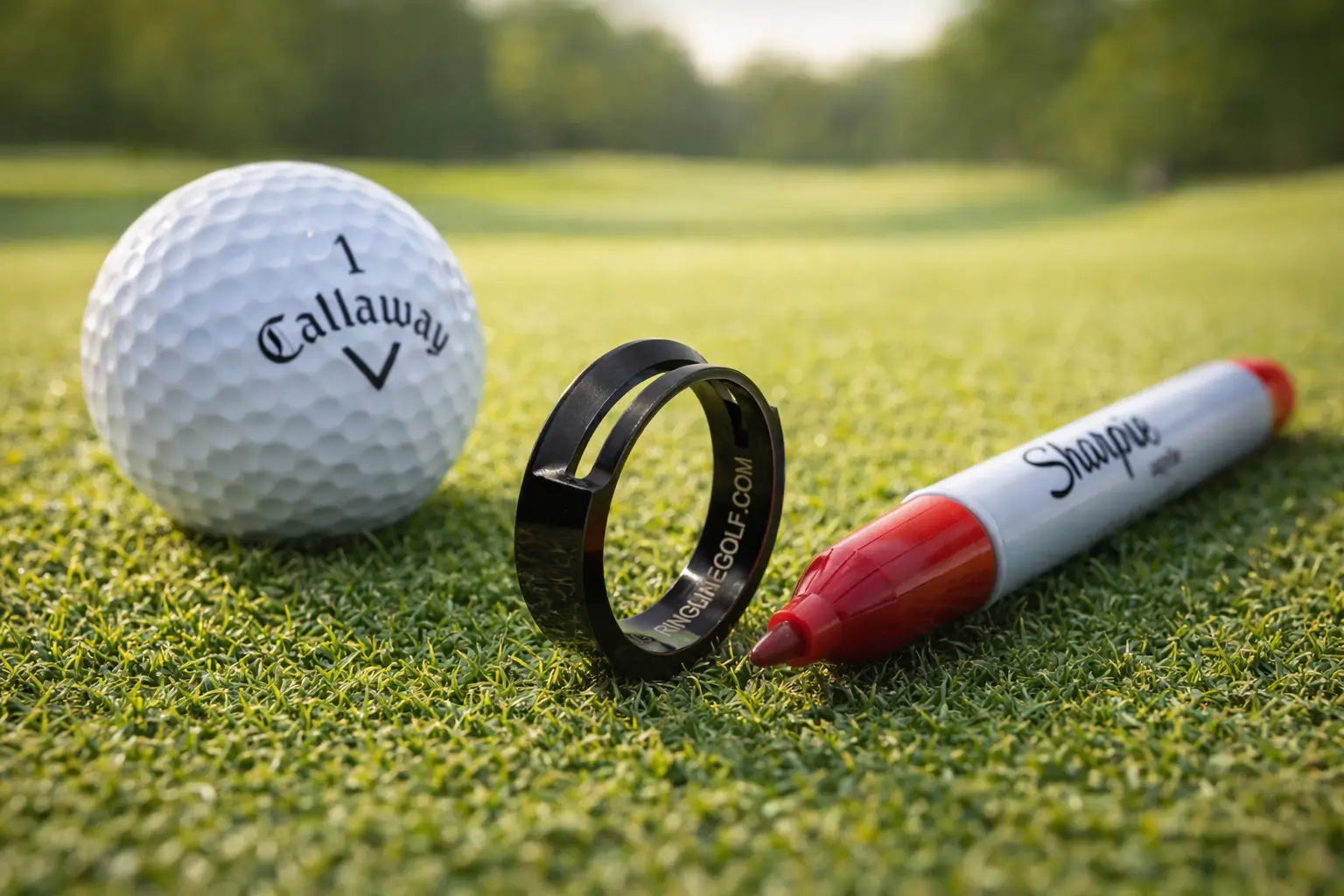 RingLine golf alignment ring next to a golf ball and marker on a putting green.