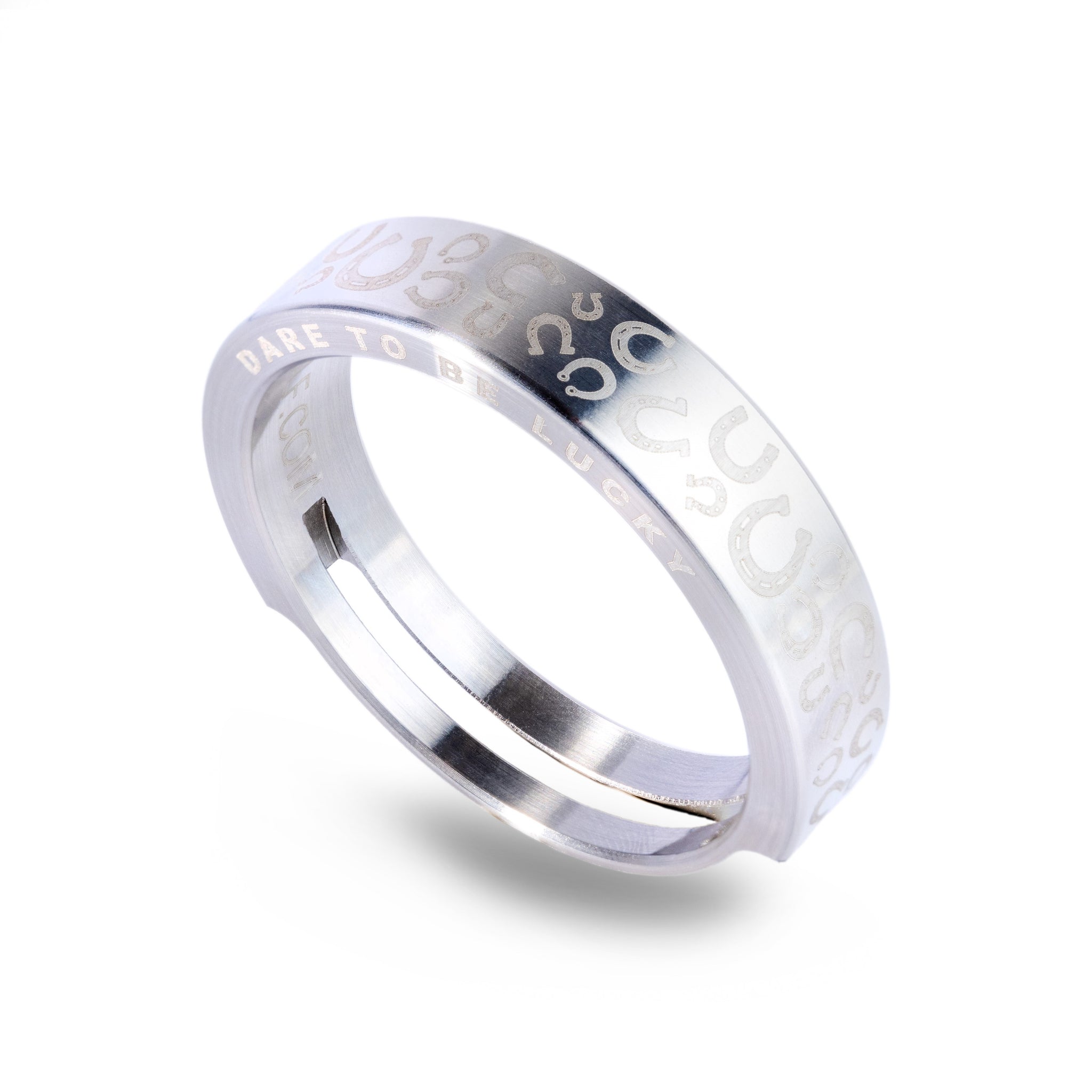 Ringlinehorseshoesilver1stanglecopy3